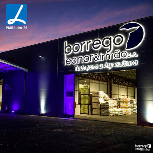 IAPMEI renova à empresa Borrego Leonor & Irmão, S.A., o Estatuto de PME Líder, em 2024